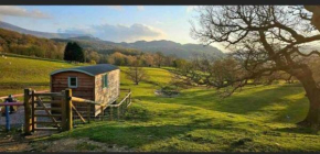 Shepherds hut Lowri